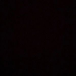 Meet your Posher, Deloris